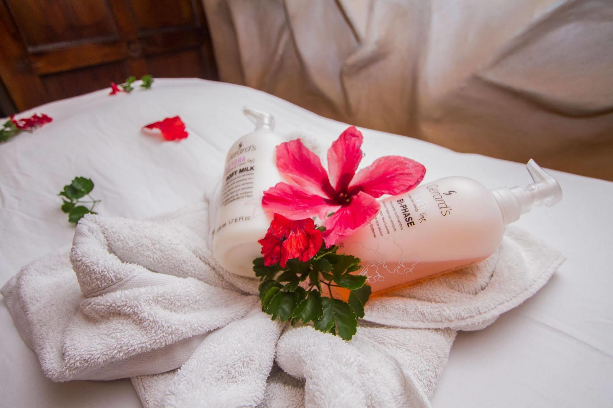 Issimo Suites Boutique Hotel & Spa - Adults Only マヌエル・アントニオ エクステリア 写真
